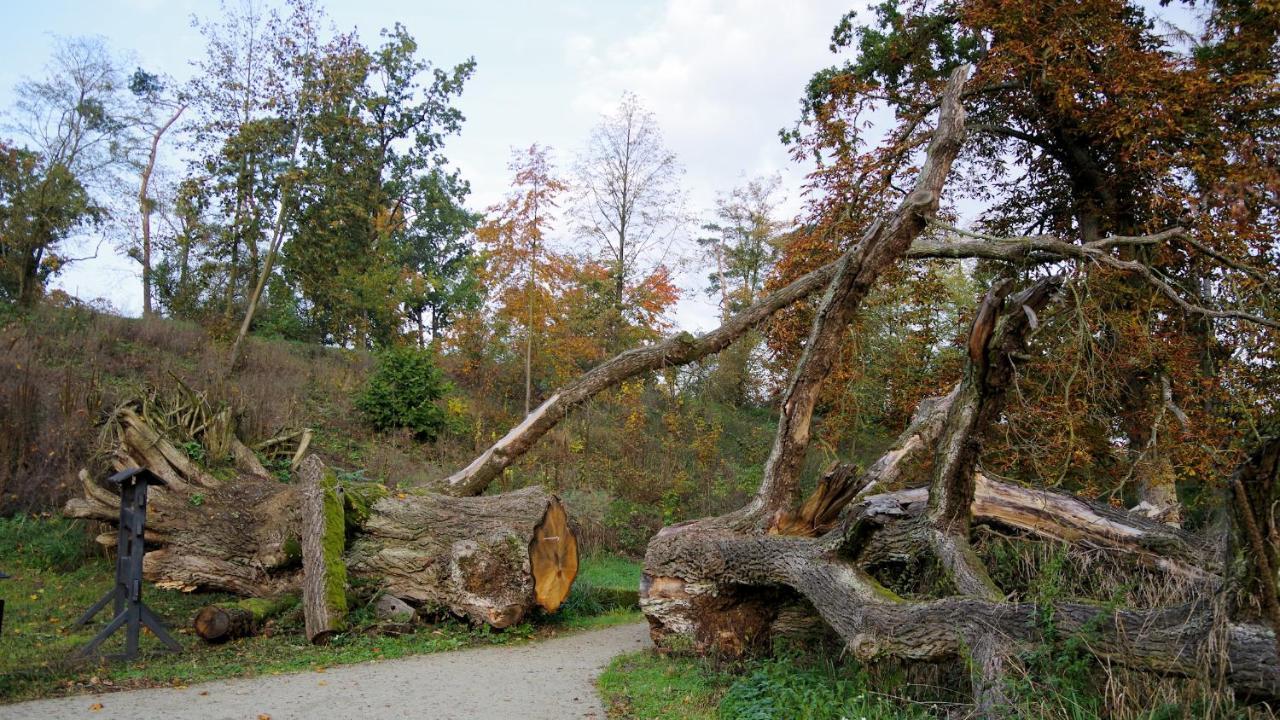 Palac Komierowo Sepolno Krajenskie Экстерьер фото
